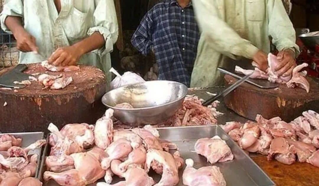 280kg Dead Chicken Meat Disposed of in Lahore Crackdown