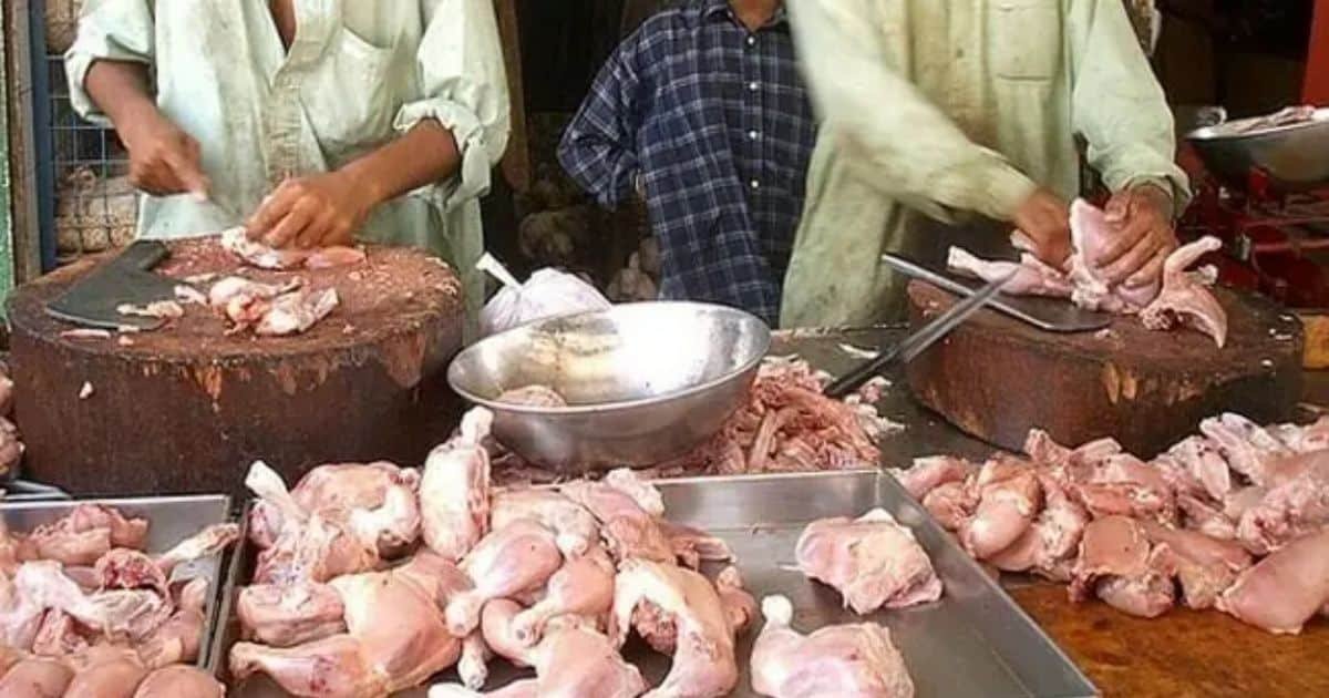 280kg Dead Chicken Meat Disposed of in Lahore Crackdown