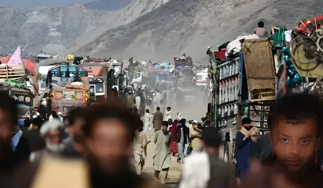 Amnesty urges halt to forced deportations of Afghans amid humanitarian crisis