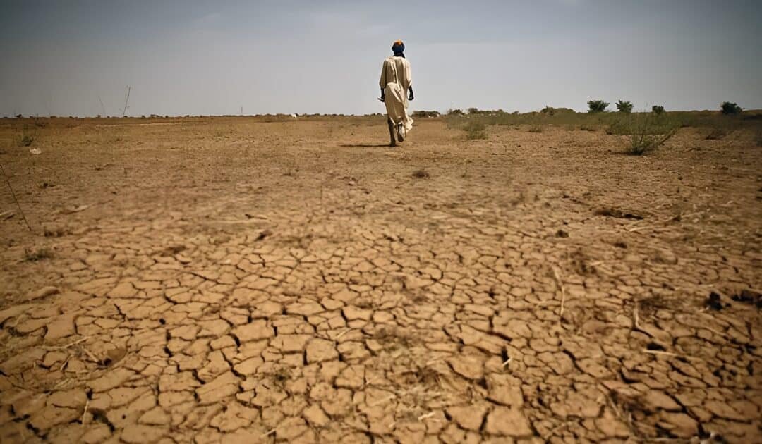 Balochistan government approves hydroponics to address water scarcity, boost agriculture