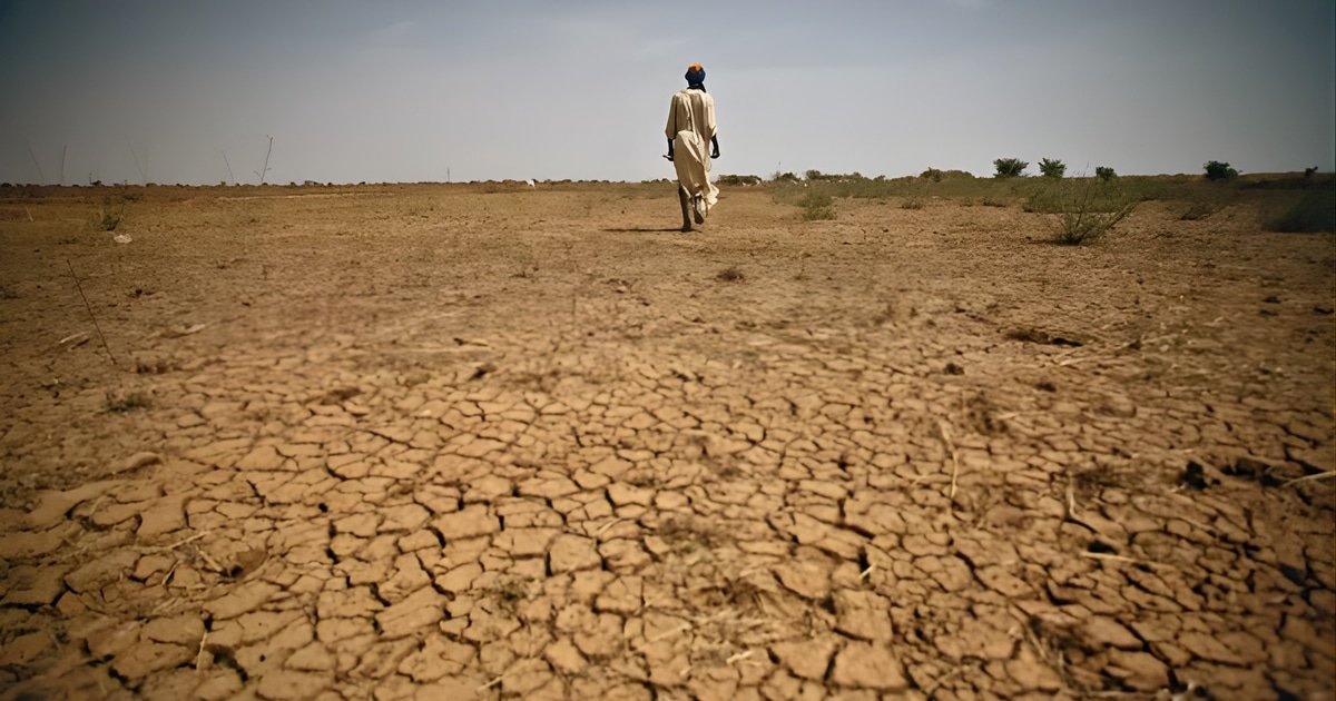 Balochistan government approves hydroponics to address water scarcity, boost agriculture