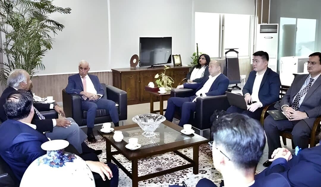 Chinese Firm Shows Interest in Establishing Solar Panel Manufacturing Plant in Pakistan