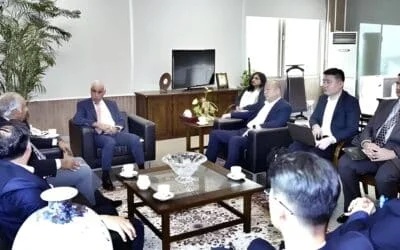 Chinese Firm Shows Interest in Establishing Solar Panel Manufacturing Plant in Pakistan