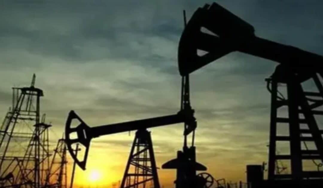 EU sanctions name Pakistani-Canadian trader over Russian oil dealings