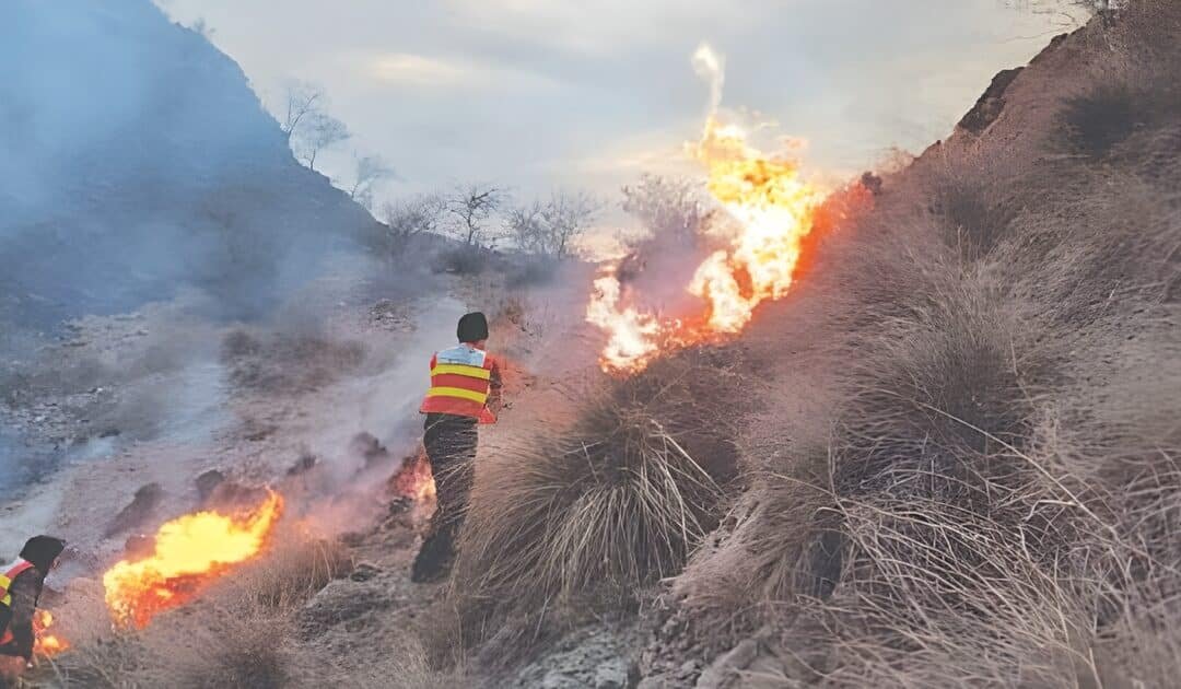 Fire Damages Forest Area in Karak; Man Killed in Shooting Incident in Lakki Marwat