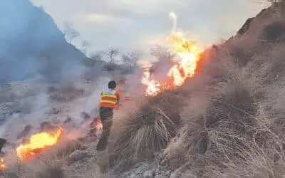Fire Damages Forest Area in Karak; Man Killed in Shooting Incident in Lakki Marwat