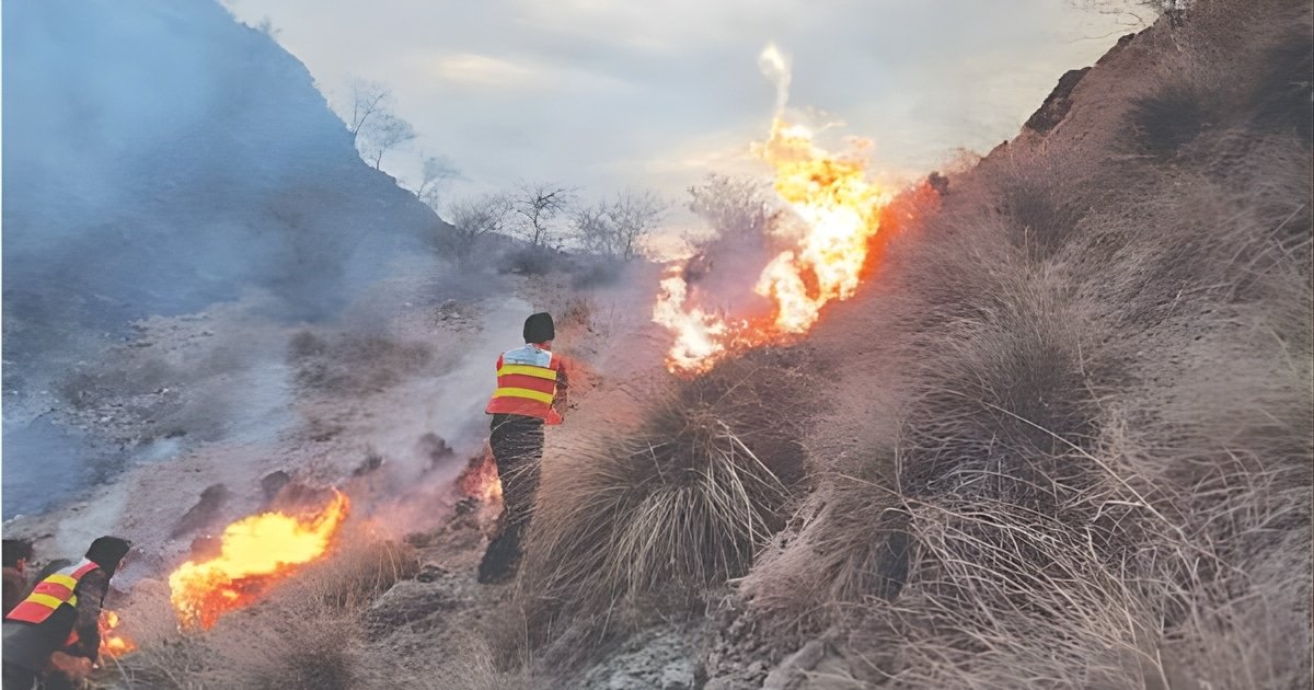 Fire Damages Forest Area in Karak; Man Killed in Shooting Incident in Lakki Marwat