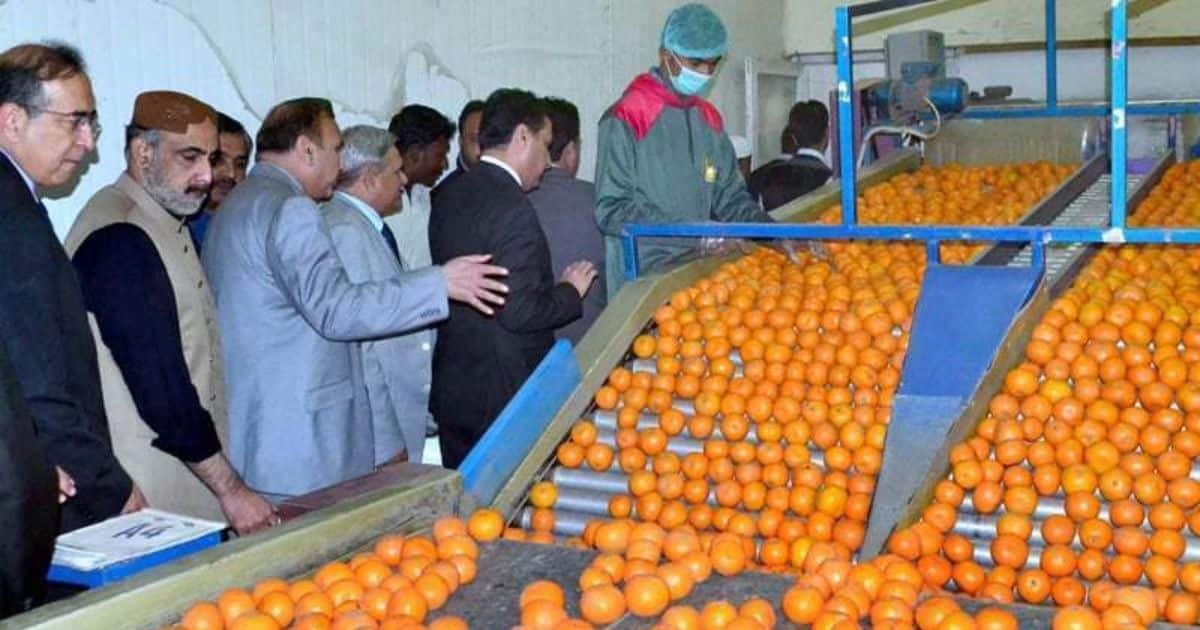 Fruit, Vegetable Exporters Set $2bn Target for Next Three Years