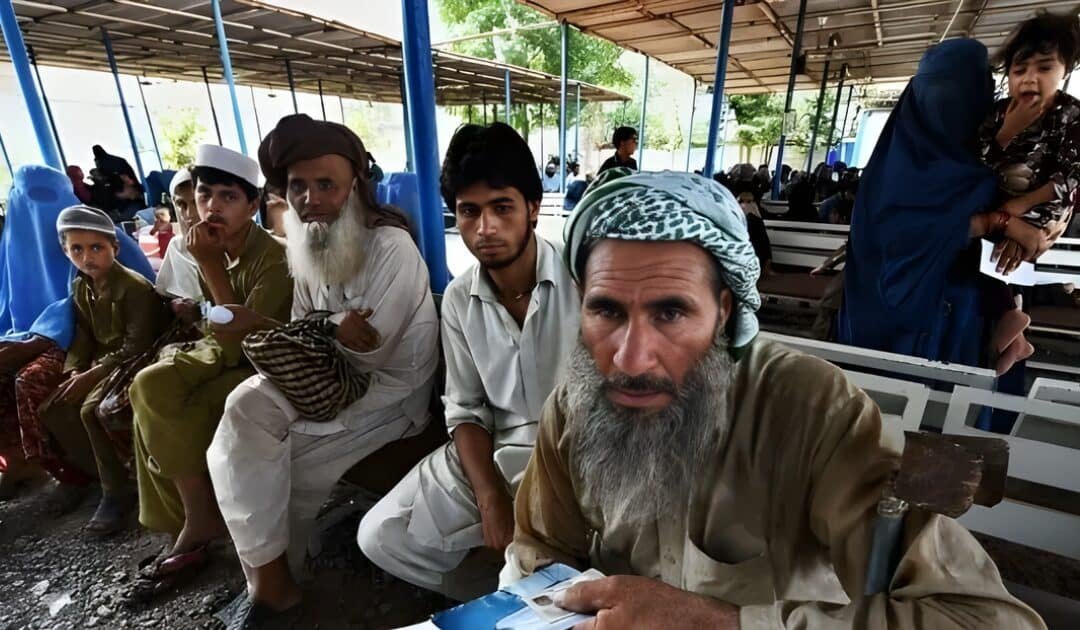 German Government Faces Renewed Pressure Over Afghans Stranded in Pakistan
