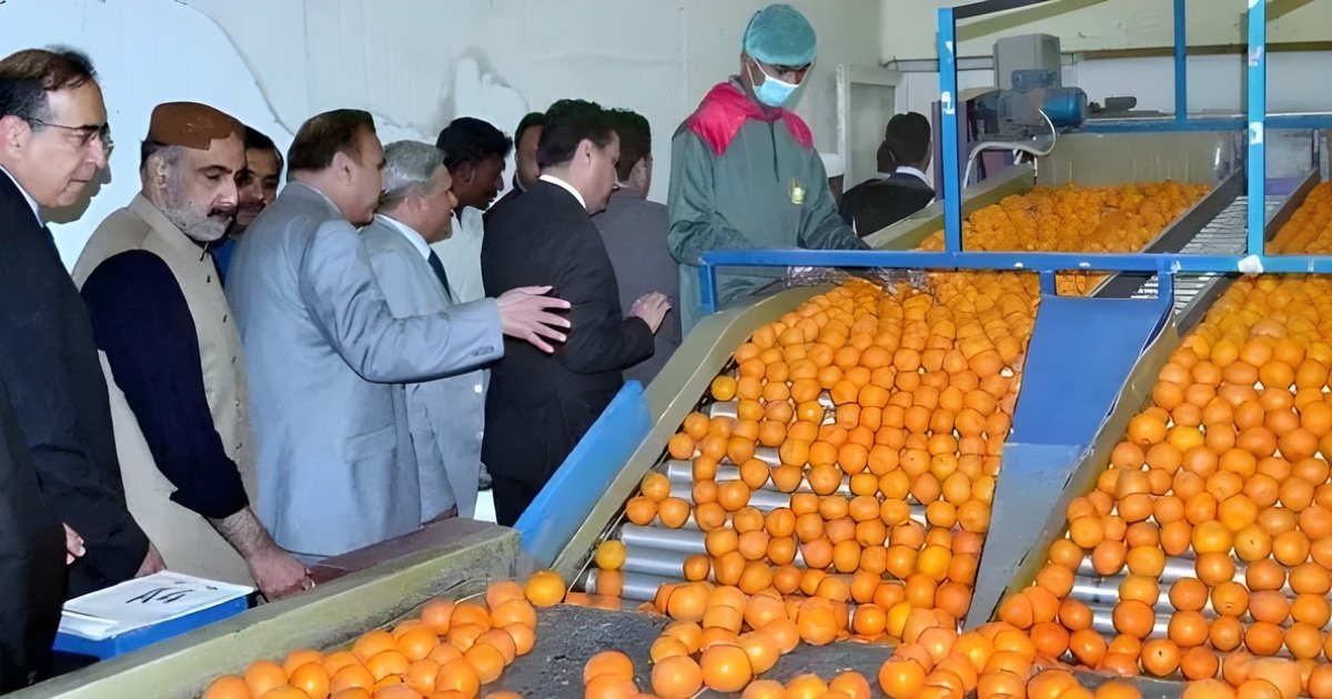 Kinno exports kick off with 6,000 tonnes shipped so far