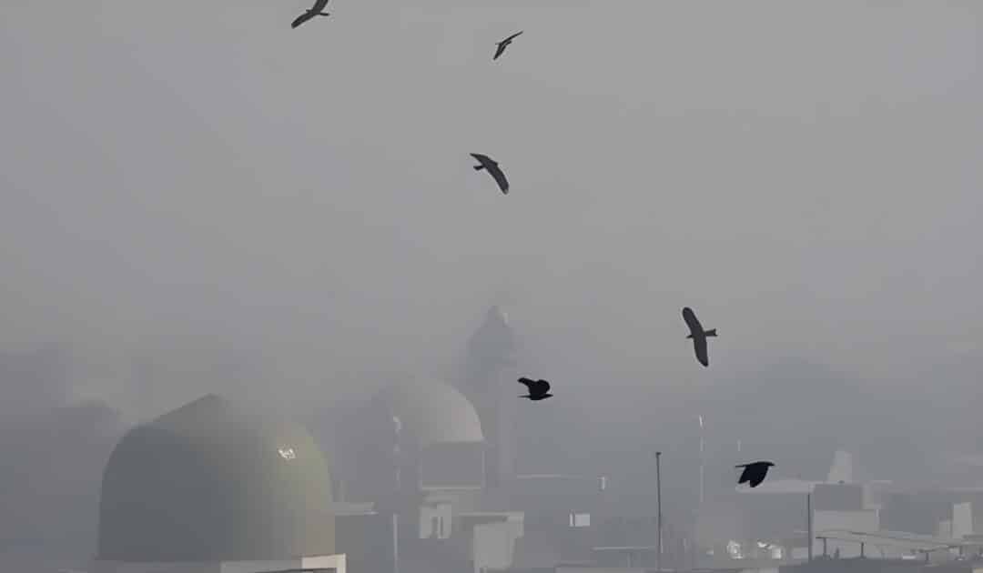 Lahore’s Air Quality Remains Among Worst in Region