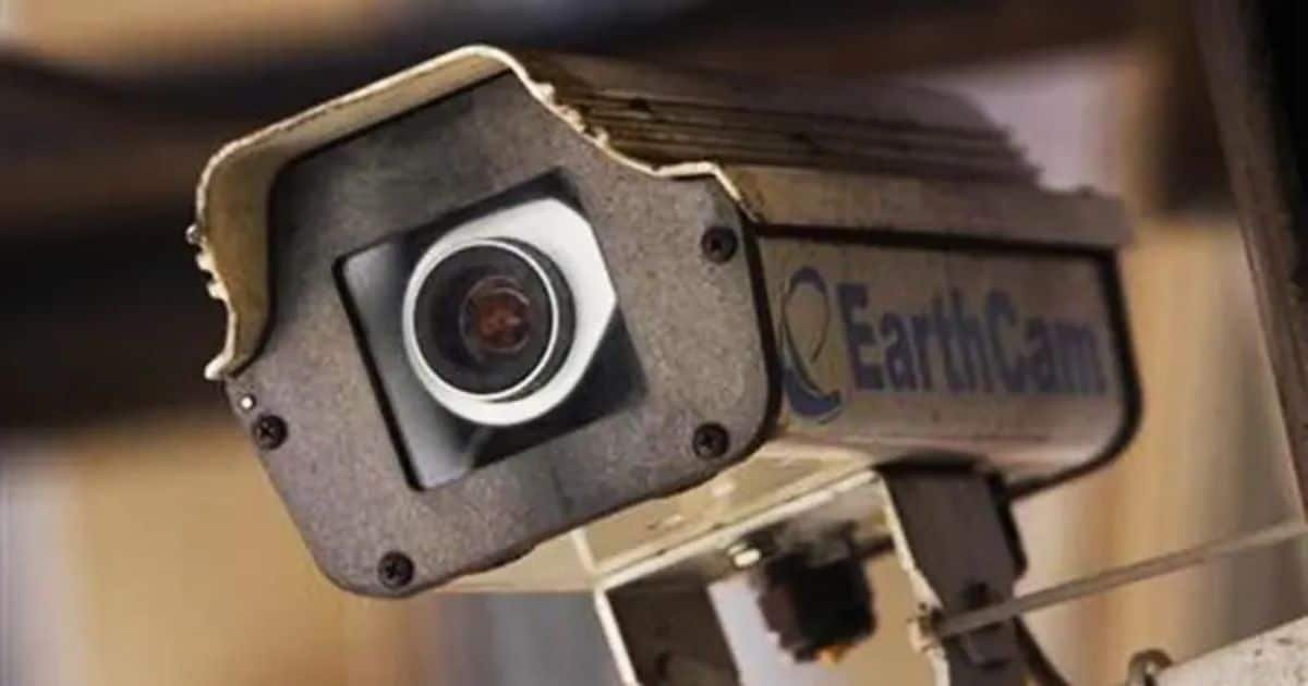 PHC Rejects Petitions Against FBR Order Mandating CCTV Installation in Cigarette Factories PHC Rejects Petitions Against FBR Order Mandating CCTV Installation in Cigarette Factories
