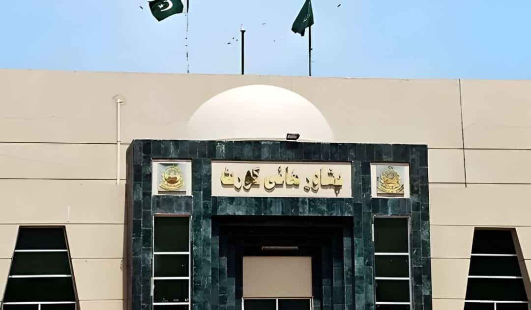 PHC Rules PTI Leaders Cannot Use Protective Bail for Protests