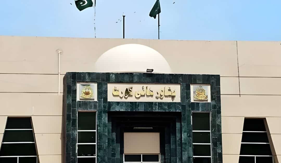 Peshawar High Court Grants Interim Relief to Afghan Student in Medical College Admission Case