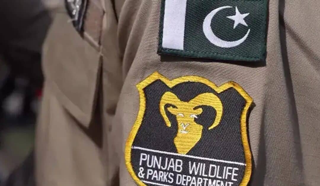 Punjab Wildlife Rangers Rescue Sambar Deer, Step Up Anti-Poaching Drive