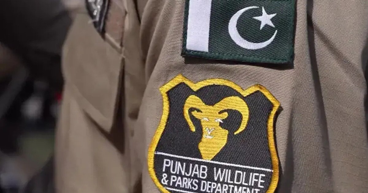 Punjab Wildlife Rangers Rescue Sambar Deer, Step Up Anti-Poaching Drive Punjab Wildlife Rangers Rescue Sambar Deer, Step Up Anti-Poaching Drive