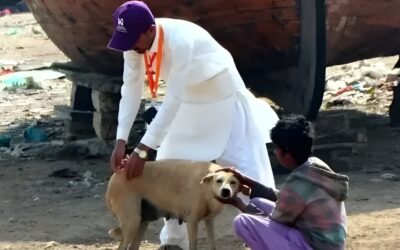 Rabies death toll in Sindh rises to 25 as another child succumbs