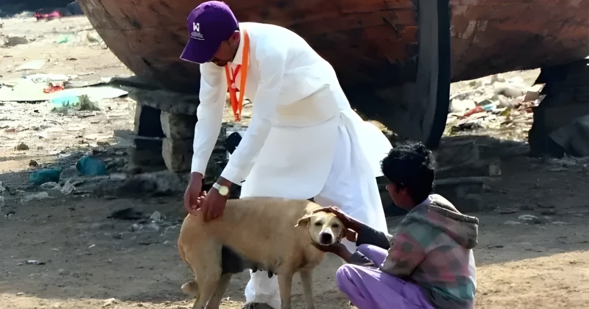Rabies death toll in Sindh rises to 25 as another child succumbs