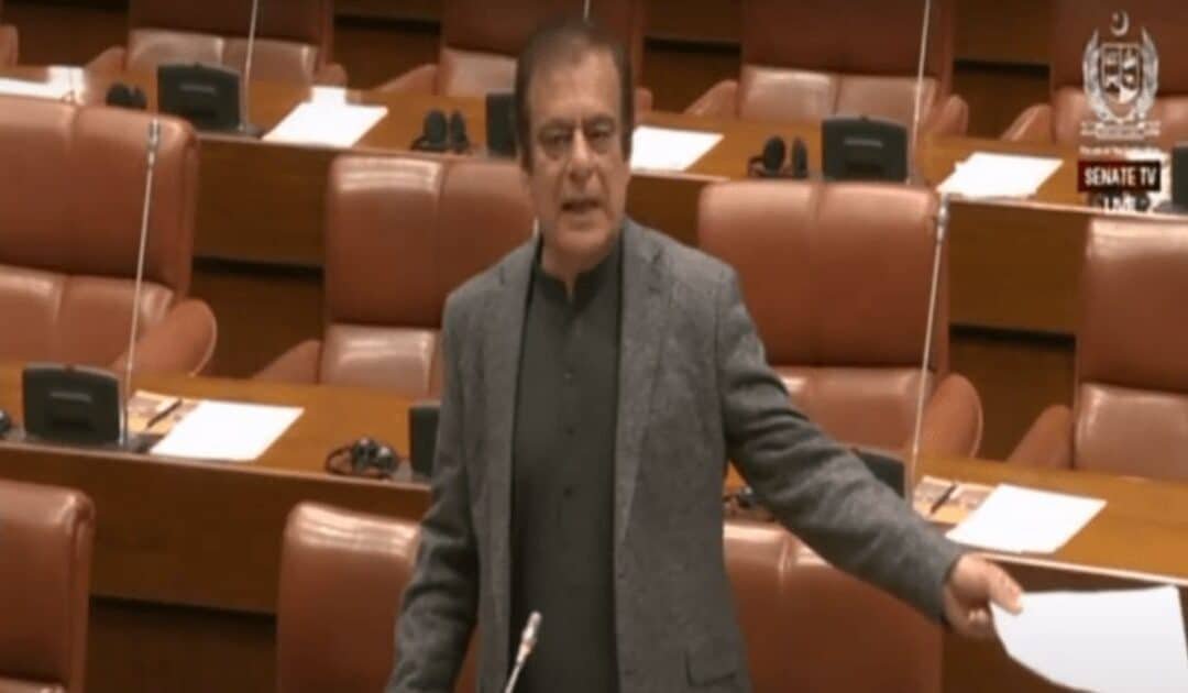 Senate Deputy Chairman Bars Criticism of ‘National Heroes,’ Sparks Uproar Over Unprecedented Ruling