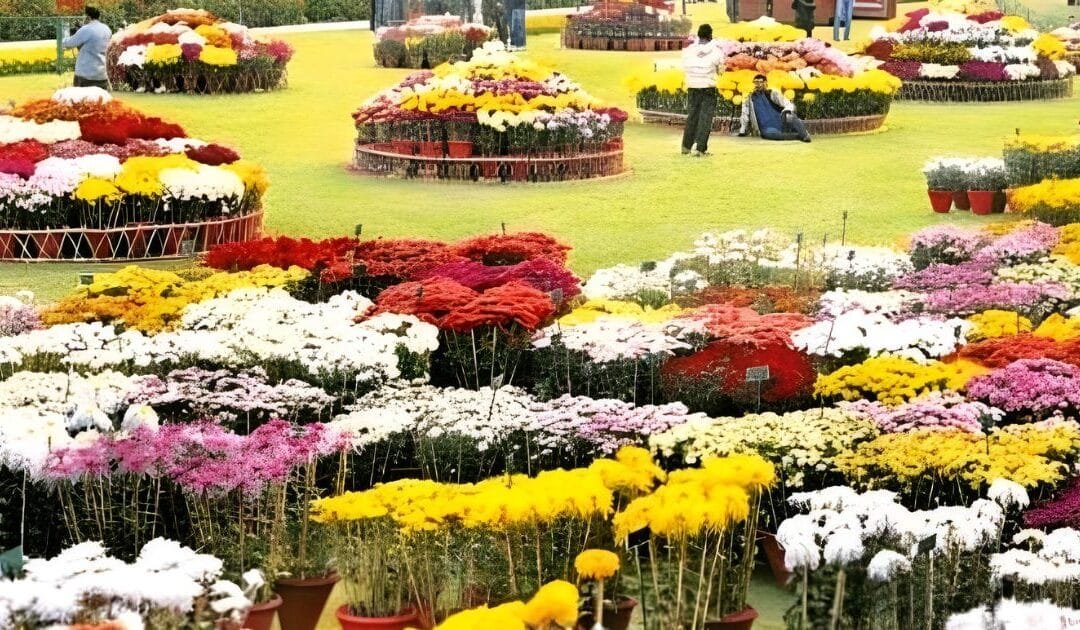 The “Gull-e-Daoodi” Manifesto: When Horticulture Met High Art