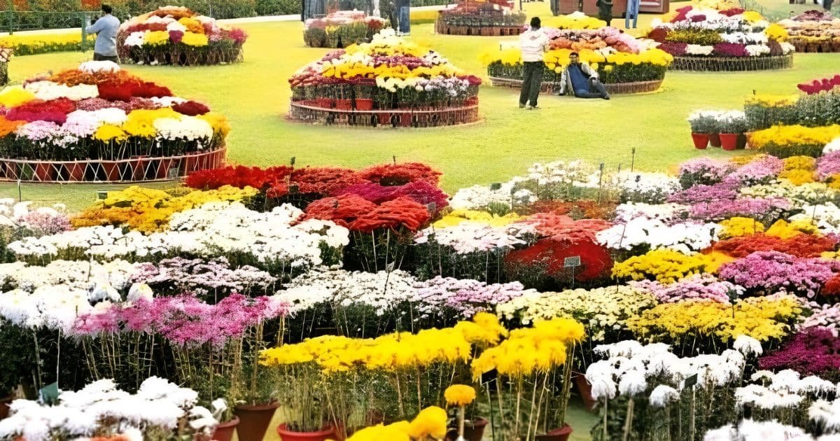 The “Gull-e-Daoodi” Manifesto When Horticulture Met High Art