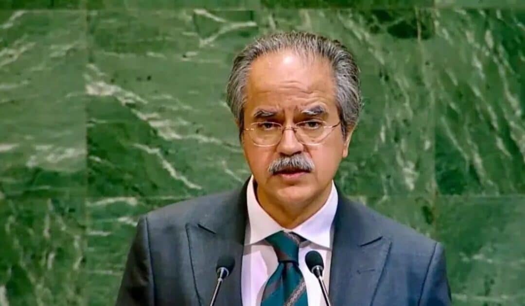 UNGA Adopts Resolution Urging Israeli Withdrawal from Occupied Palestinian Territory; Pakistan Calls for Turning ‘Promises into Action’