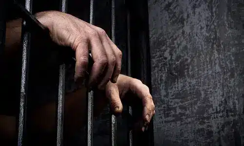29 Notorious Gangsters Surrender During Katcha Crackdown in Dera Ghazi Khan; Indus Dolphin Death Raises Alarm