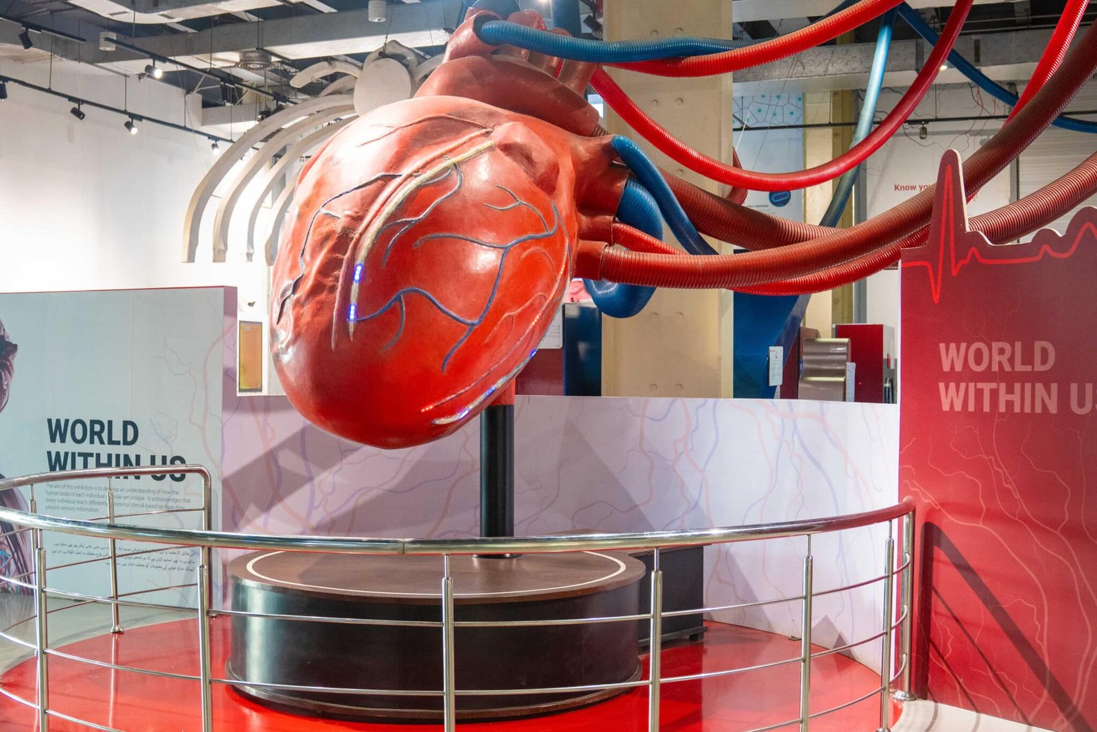 Image shows A still from the World Within Us exhibition at MagnifiScience centre