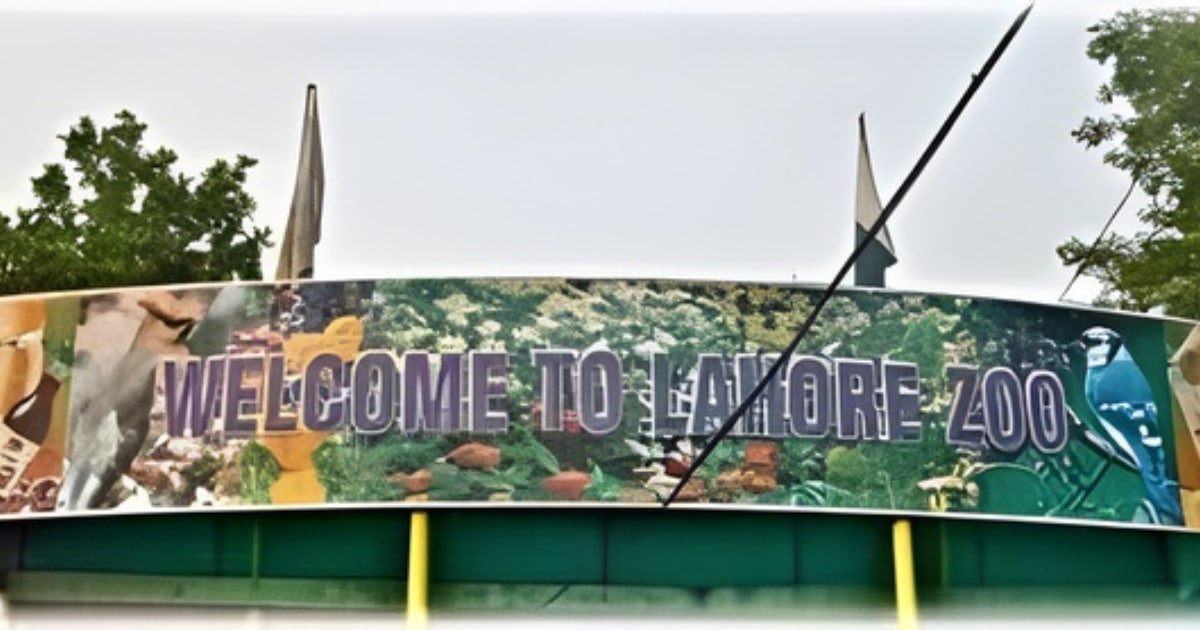 After-Dark Adventures- Lahore Zoo Announces Night Openings
