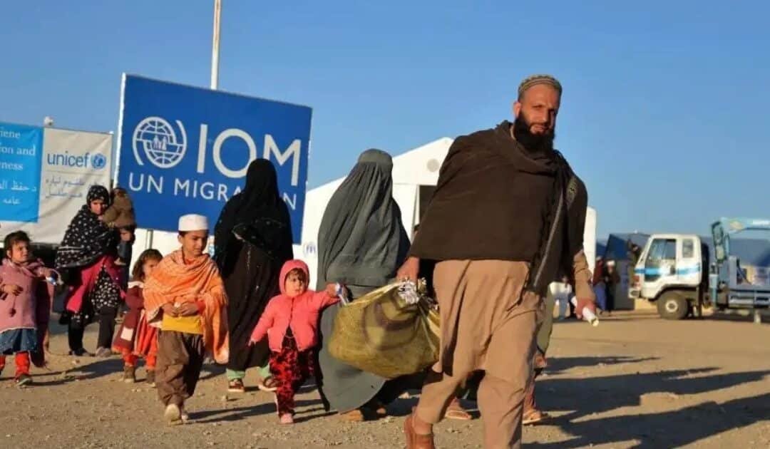 Arrests and Detentions of Afghans Rise 18pc in January: UN-IOM Report