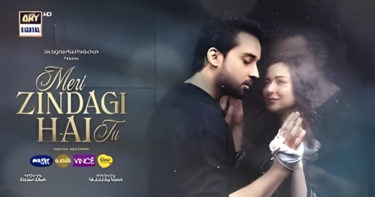 Justice or Cruelty The Violent Turn in Meri Zindagi Hai Tu