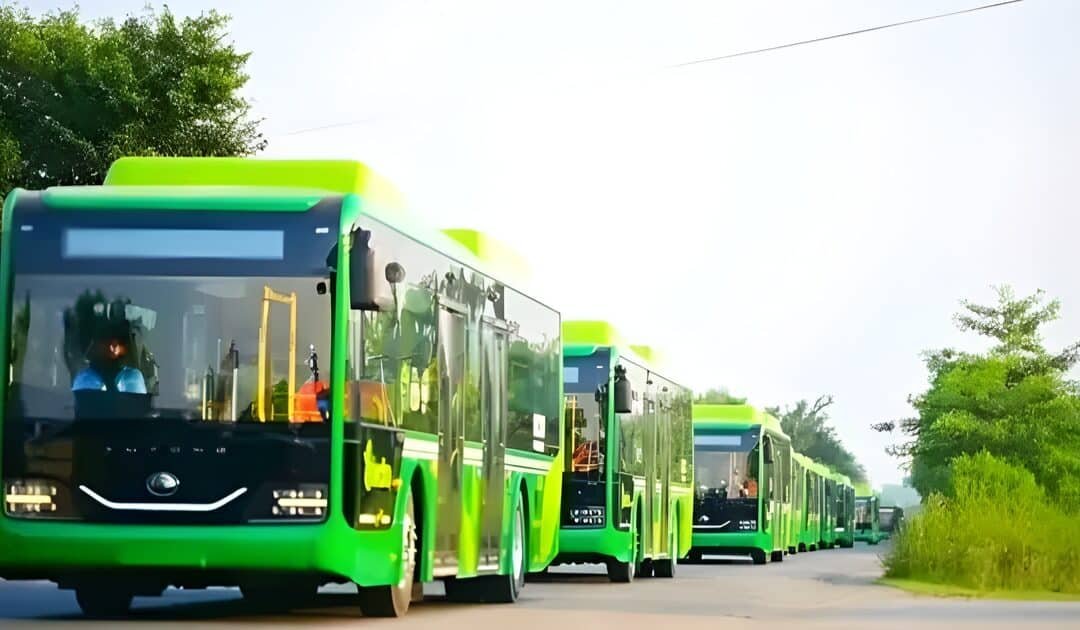 LHC suspends Punjab order cancelling e-bus supply contract