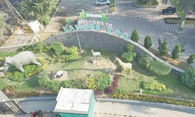 Lahore Zoo to Remain Open After Dark from Next Month Lahore Zoo to Remain Open After Dark from Next Month