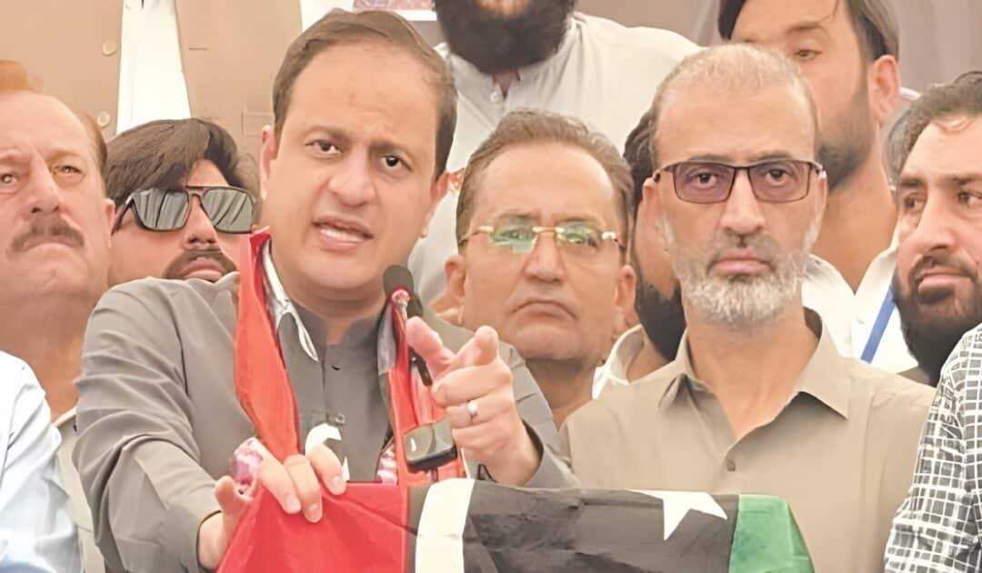 Mayor backs culling amid rise in dog-bite cases in Karachi