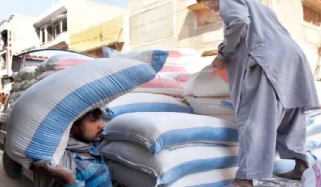 Millers, Chakki Owners Agree to Lift Wheat from Food Department at Revised Price