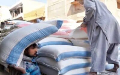 Millers, Chakki Owners Agree to Lift Wheat from Food Department at Revised Price