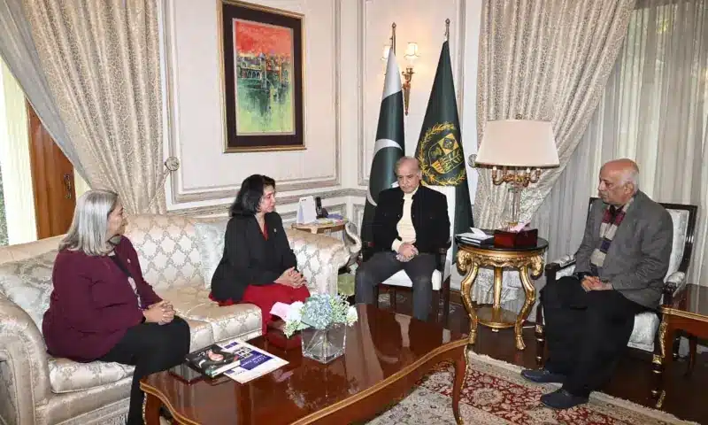 PM Shehbaz Hails Record Remittances, Pays Tribute to IT Prodigy Arfa Karim