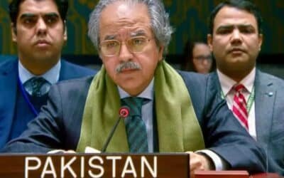 Pakistan Vows to Prevent Desertification of Fertile Plains at UN Security Council