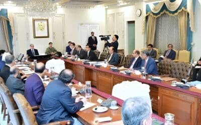Shehbaz Urges Expansion of Domestic Oil and Gas Exploration to Reduce Imports