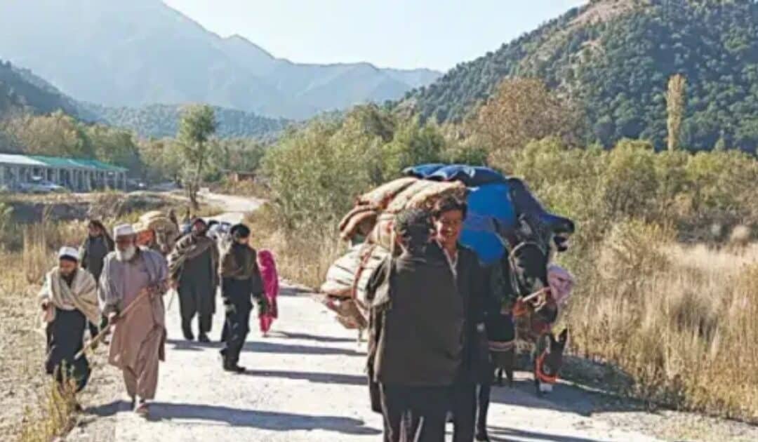 Tirah IDPs Demand Overdue Transport Fares