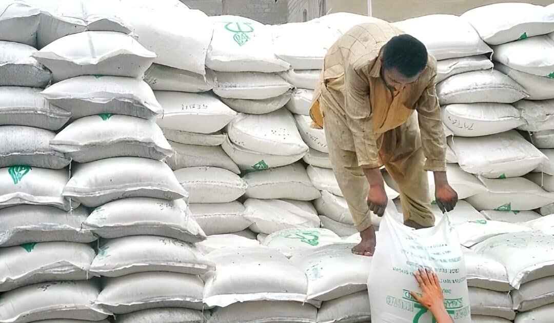 Urea sales hit record high as cement and oil demand show recovery