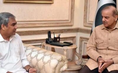 PM Shehbaz Directs Mohsin Naqvi to Strengthen Federal Security