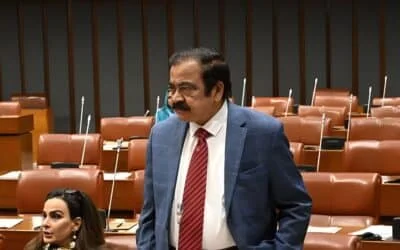 Rana Sanaullah Rejects Medical Neglect Claims about Imran Khan’s Health