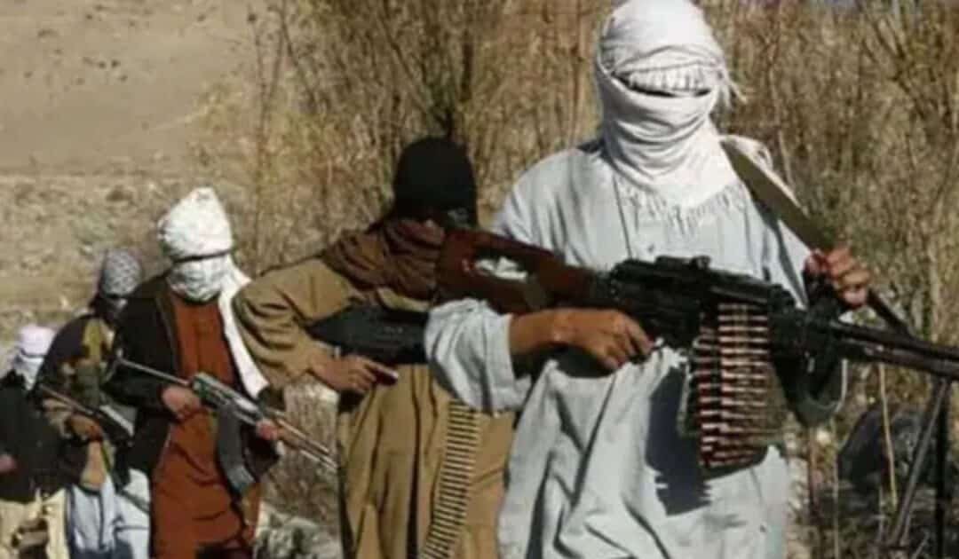 TTP May Morph into “Extra-Regional Threat”, UN Security Council