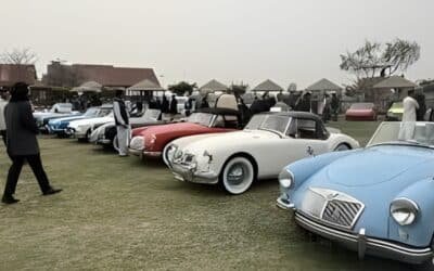 The Pop-Up Museum: A Century of Chrome at Frere Hall