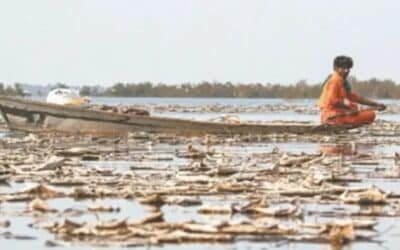 Wetlands as “Frontline Defenders” of Pakistan’s Coast and Blue Economy