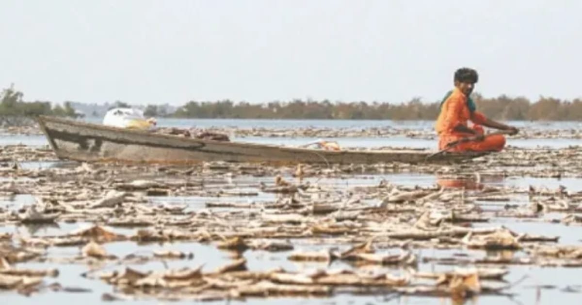 Wetlands as Frontline Defenders of Pakistan's Coast