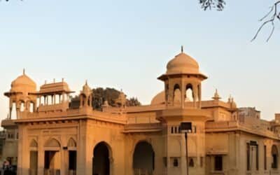 A New Chapter for the National Academy of Performing Arts: Jarri Masood Zaidi Appointed as CEO