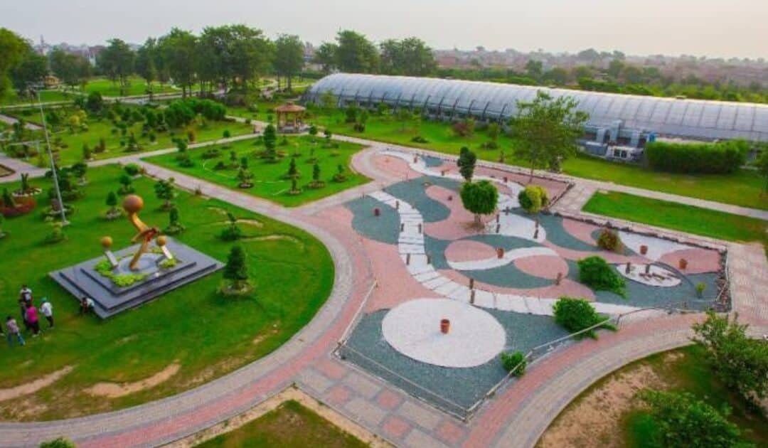 Punjab Horticulture Authority Introduces Strict New Rules to Protect Heritage Trees and Green Spaces