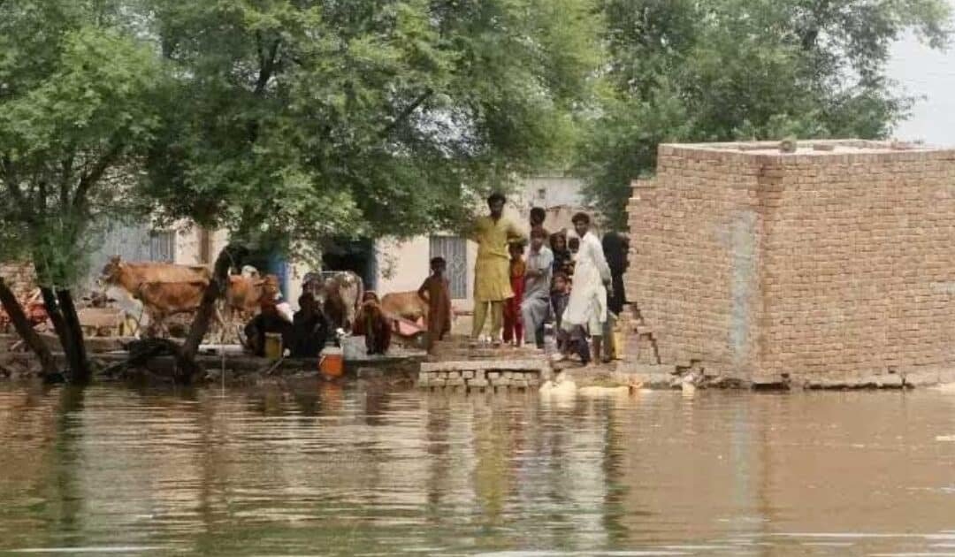 Japan pledges $2 million to support Pakistan’s climate resilience